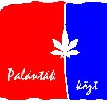 Palánták közt.jpg
