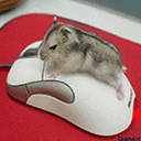 Šukajíci Mouse.gif